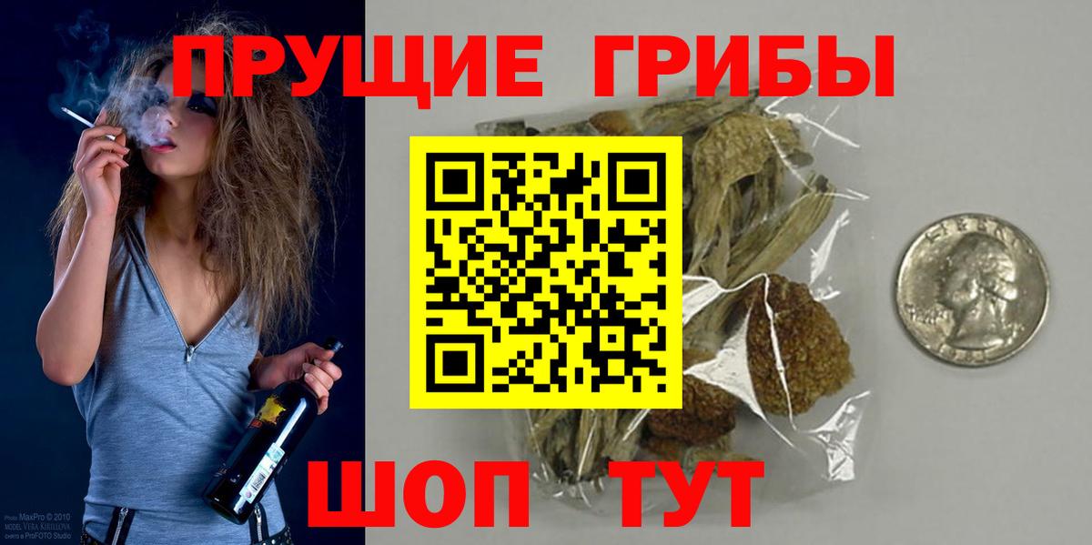 Удомля  Галлюциногенные грибы ЛСД  Вход с VPN 
