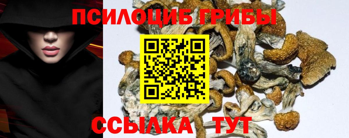 Псилоцибиновые грибы MAGIC MUSHROOMS Удомля